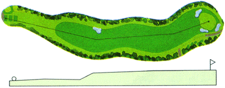 Large