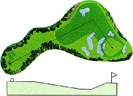 Large