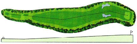 Large