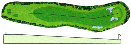 Large