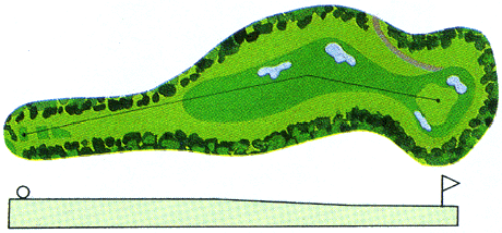 Large