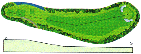 Large